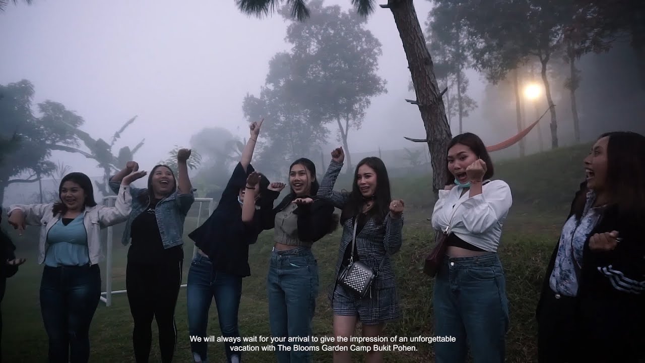 Sekelompok perempuan muda bersorak dengan tangan terangkat di padang rumput berkabut di antara pohon pinus.